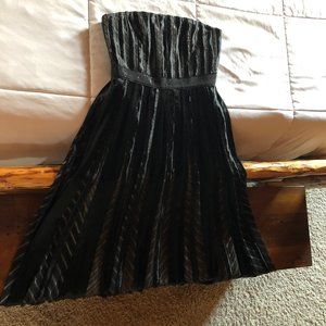 Carmen Marc Valvo Long Dress